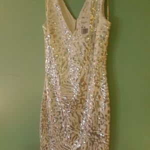 Forever 21 Shrt Lngth Drss/S